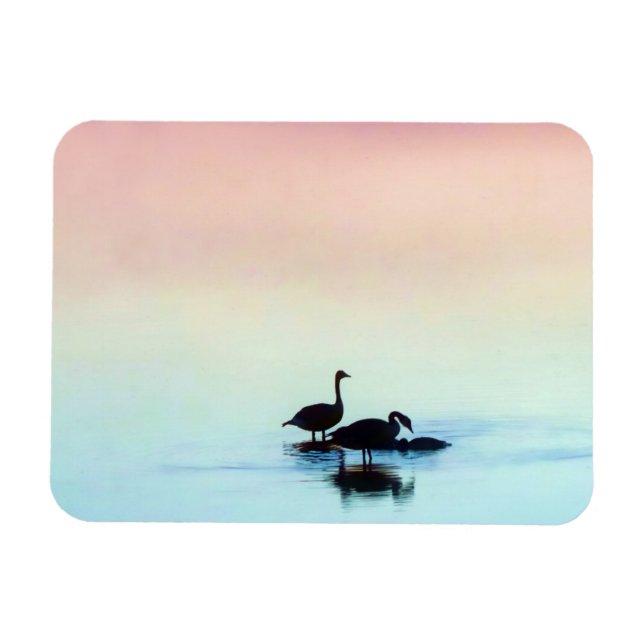 Imán fijo (Horizontal)