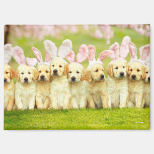 Imán Fila de conejitos cachorros