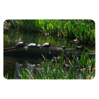 Imán Fila de la naturaleza verde de las tortugas