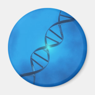 Imán Filamento de la DNA