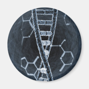 Imán Filamento de la DNA