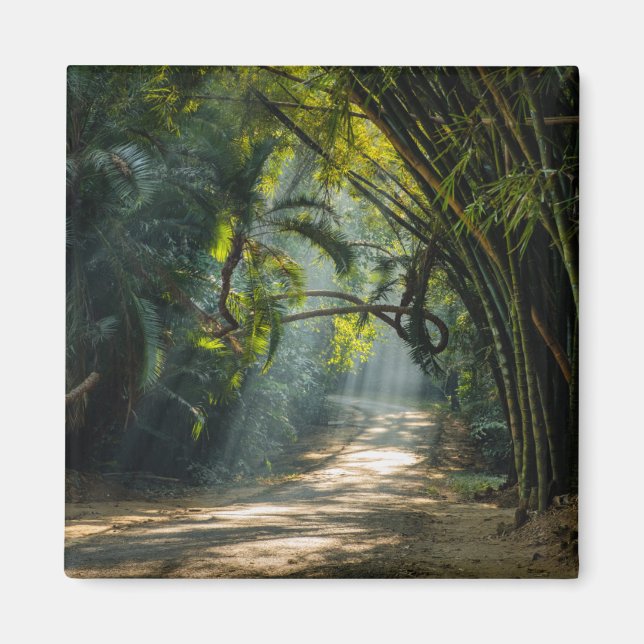 Imán Filas de Bambú (Frente)