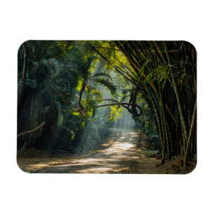 Imán Filas de Bambú