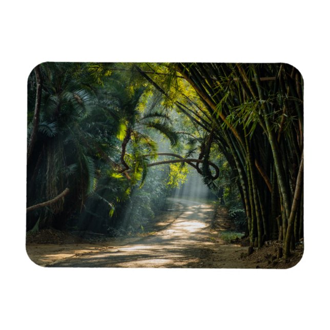 Imán Filas de Bambú (Horizontal)