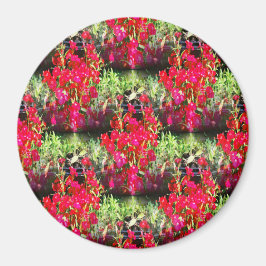 Imán Filas de Carnations....