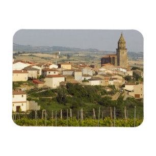 Imán Filas de vid de uva en primer plano