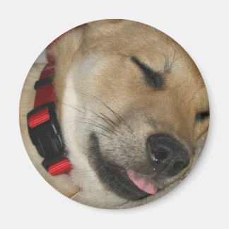 Imán Fin de semana Dexter Bebe Magnet