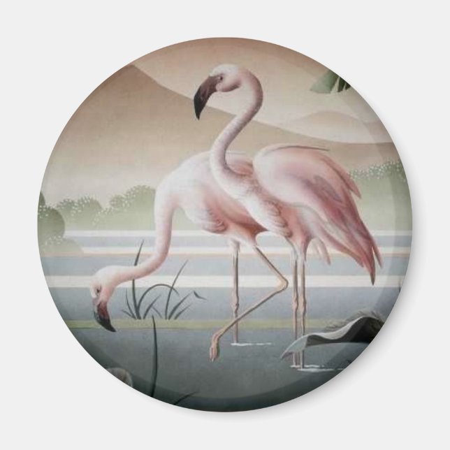 Imán Fina En El Magnet Flamingo Rosa (Frente)