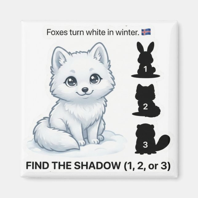 Imán Find the Shadow – Arctic Fox Learning Magnet (Frente)