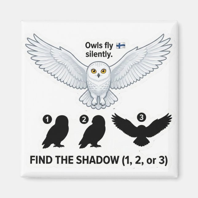 Imán Find the Shadow – Snowy Owl Learning Magnet (Frente)