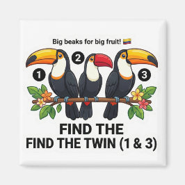 Imán Find The Twin: Toucan Colombia Educational Matchin