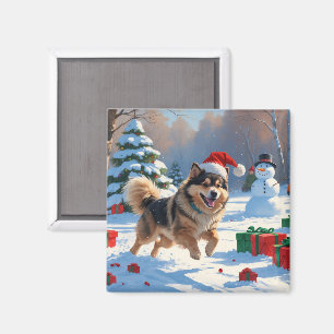Imán Finnish Lapphund corriendo en la nieve con sombrer