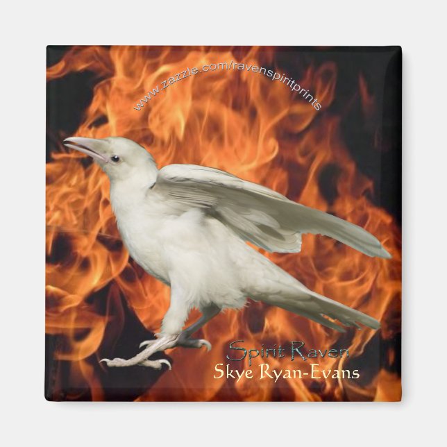 Imán FIRE RAVEN Magnet (Frente)