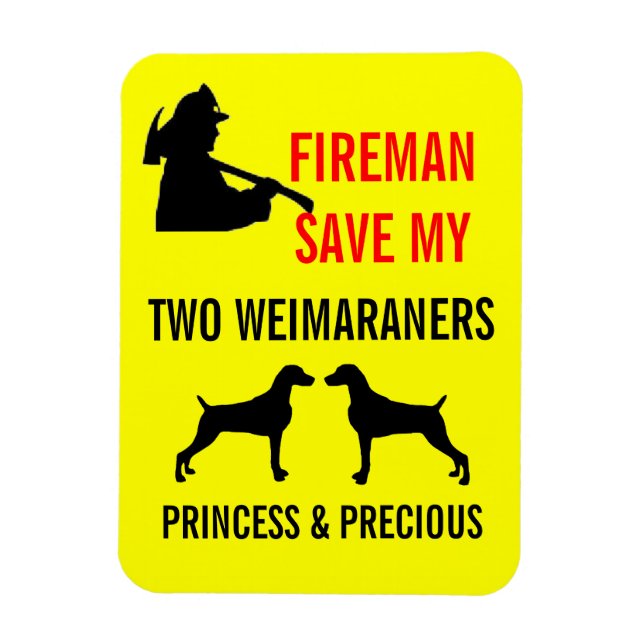 Imán Fireman salva mi seguridad contra incendios de dos (Vertical)