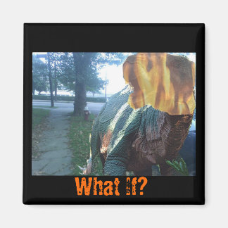 Imán Firery Dino, ¿Y Si?