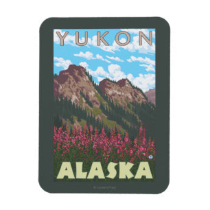 Imán Fireweed y montañas - el Yukón, Alaska