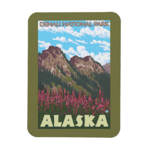 Imán Fireweed y montañas - parque nacional de Denali,