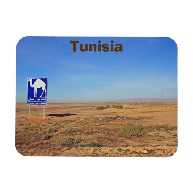 Imán Firma de camellos, Túnez (Horizontal)