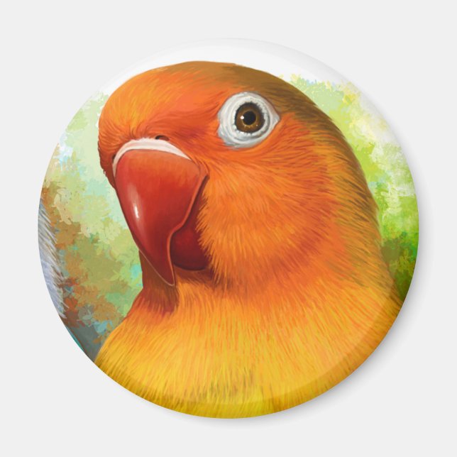 Imán Fischer lovebird (Frente)