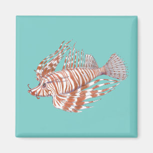 Imán Fish Manchu Magnet
