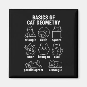 Imán Física Divertida De La Geometría Del Gato De Vuelt