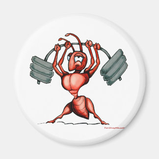Imán Fitness Diva