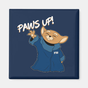 Imán FIU   Roary El Niño