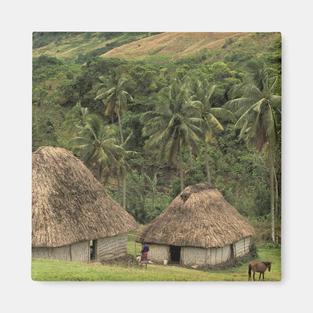 Imán Fiyi, Viti Levu, Navala, casas tradicionales Bure (Frente)