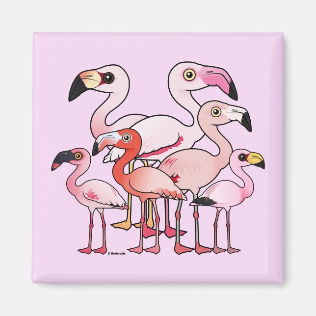 Imán Flamboyancia (Frente)