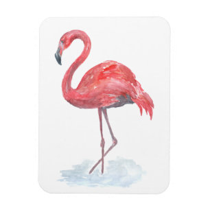 Imán Flamenco rosado de la acuarela.