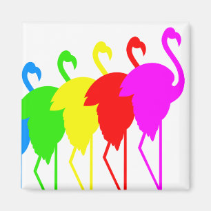 Imán Flamencos