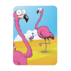 Imán flamencos