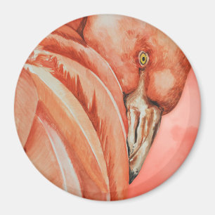 Imán Flamencos