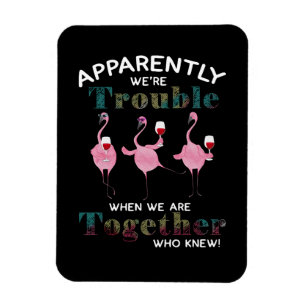 Imán Flamencos  Aparentemente somos unos flamencos prob