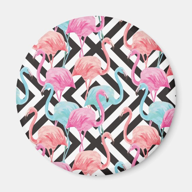 Imán Flamencos en el patrón de diseño negrita (Frente)