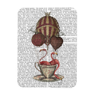 Imán Flamencos en la televisión