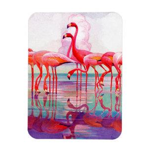 Imán Flamencos rosados de Francisco Lee Jacques