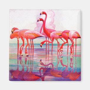 Imán Flamencos rosados de Francisco Lee Jacques