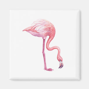 Imán Flamingo