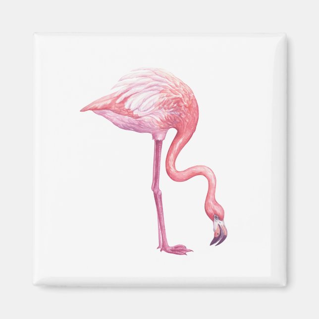 Imán Flamingo (Frente)