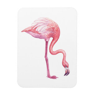 Imán Flamingo