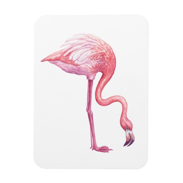 Imán Flamingo (Vertical)