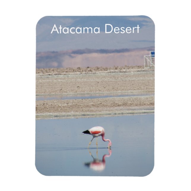 Imán Flamingo Atacama Desert Flexible Magnet (Vertical)