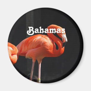 Imán Flamingo bahameño