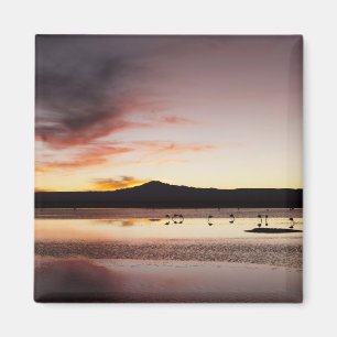 Imán Flamingo de Chile