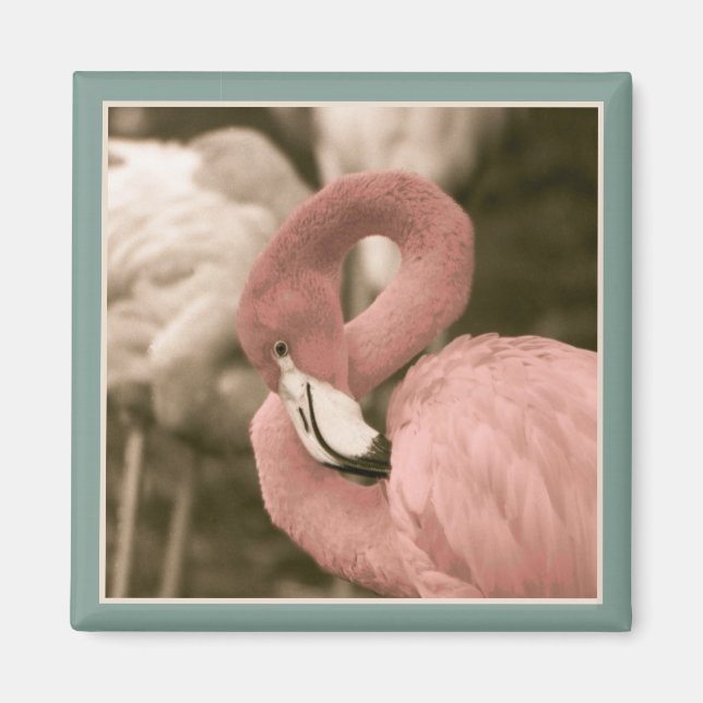 Imán Flamingo de moda (Frente)