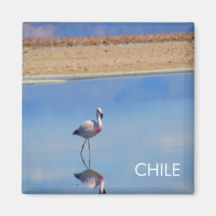 Imán Flamingo, Desierto de Atacama, Chile Magnet