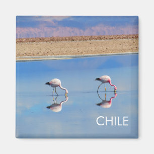 Imán Flamingo, Desierto de Atacama, Chile Magnet