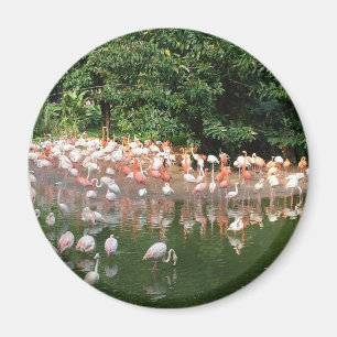 Imán flamingo flock