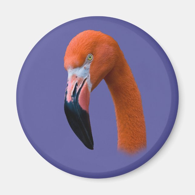 Imán Flamingo Portrait Magnet (Frente)